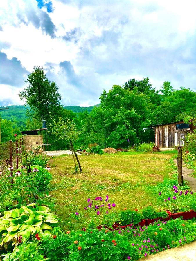 Guesthouse D&D Licko Petrovo Selo Екстериор снимка