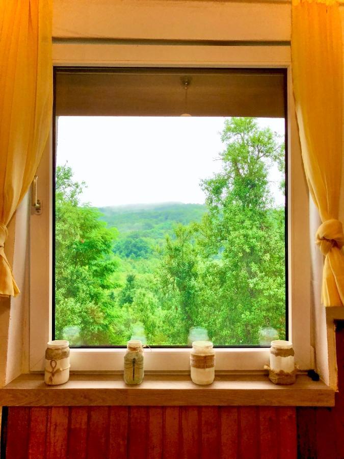 Guesthouse D&D Licko Petrovo Selo Екстериор снимка