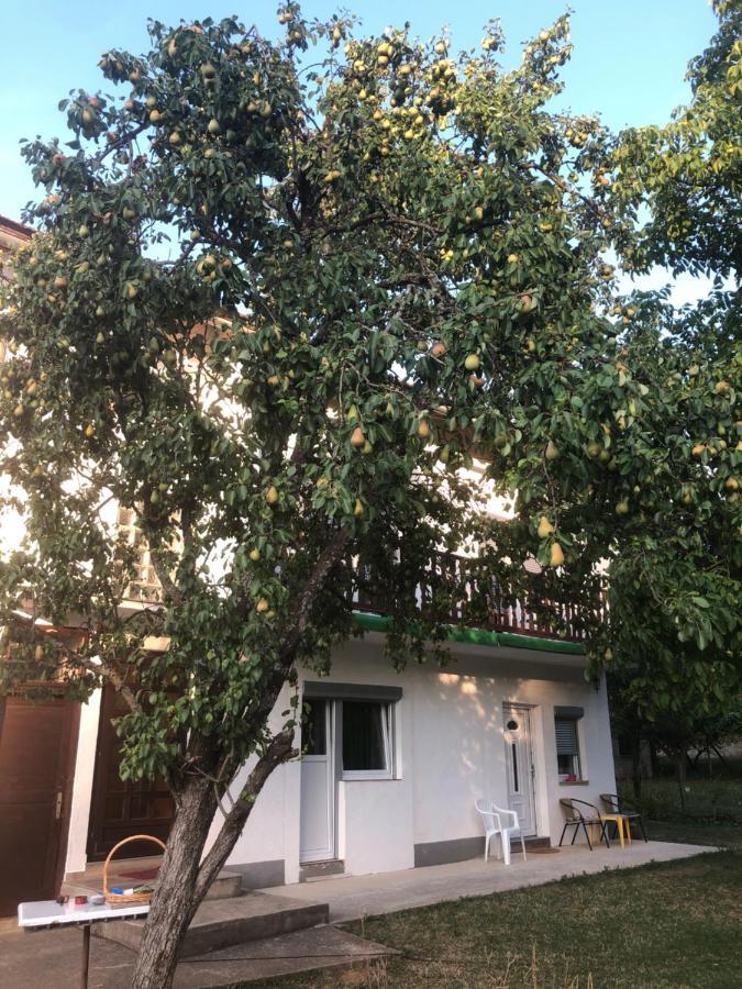 Guesthouse D&D Licko Petrovo Selo Екстериор снимка