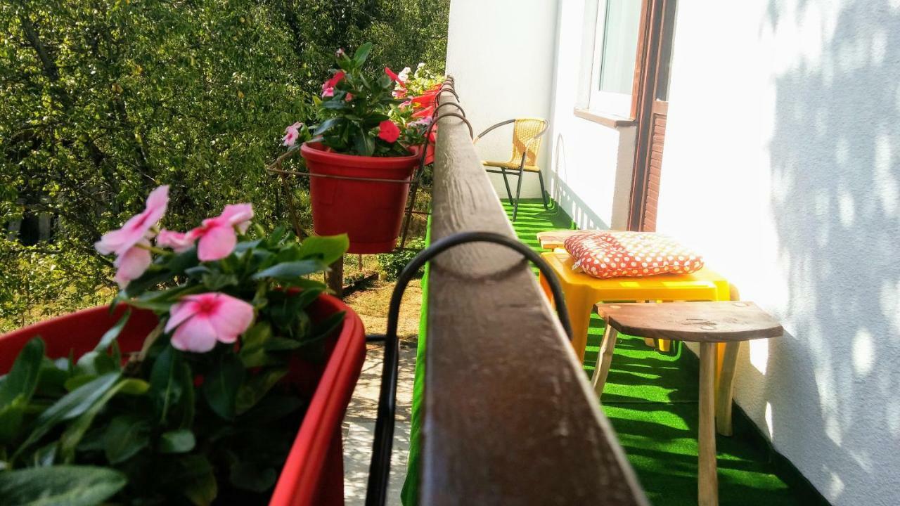 Guesthouse D&D Licko Petrovo Selo Екстериор снимка